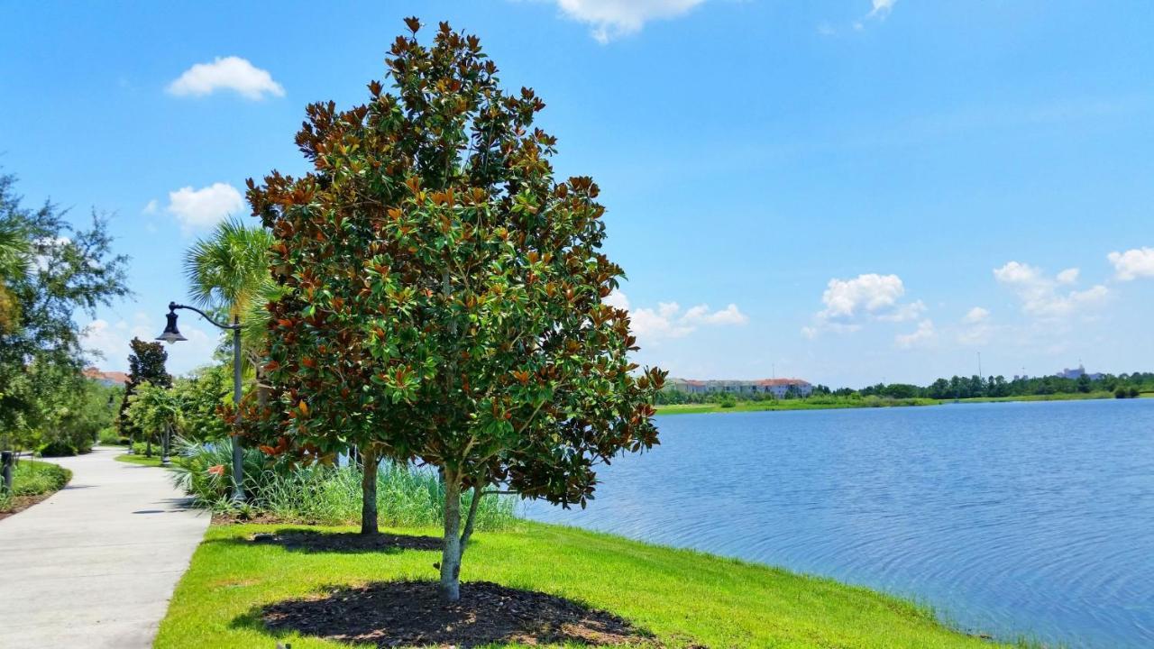 1St Floor Luxury Condo W Free Resort Access Kissimmee Esterno foto